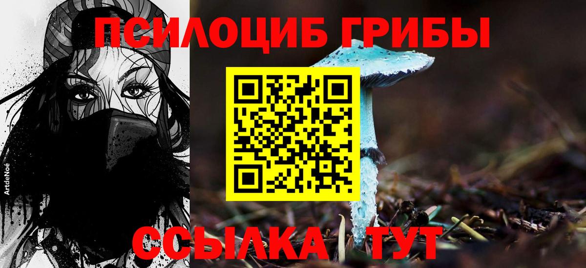Псилоцибиновые грибы GOLDEN TEACHER  Псилоцибиновые грибы мицелий  Городец  Вход с VPN 